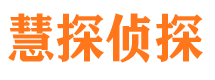 建邺侦探公司